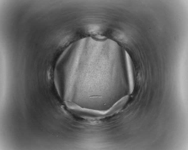 X0000086930424200704301121