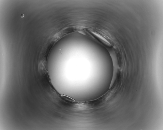 X0000086930425200704301121