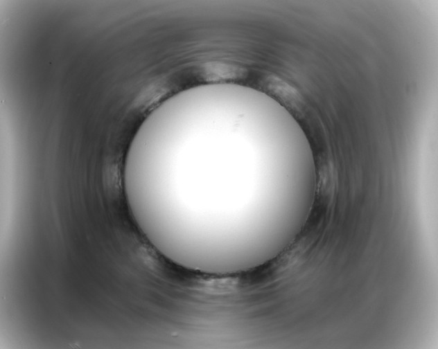 X0000086930426200704301121