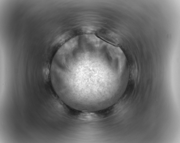 X0000086930427200704301121