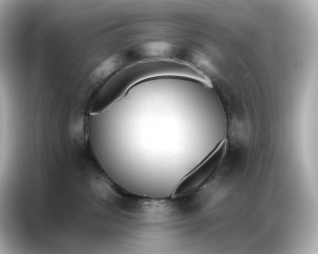 X0000086930428200704301121