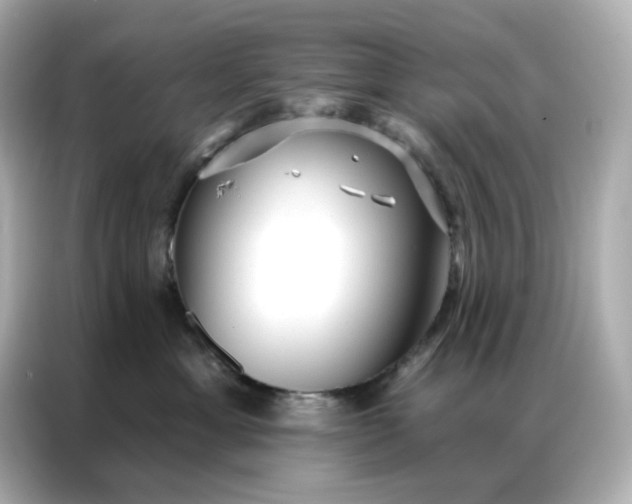 X0000086930429200704301121