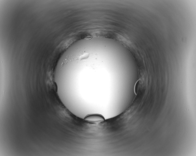 X0000086930430200704301121