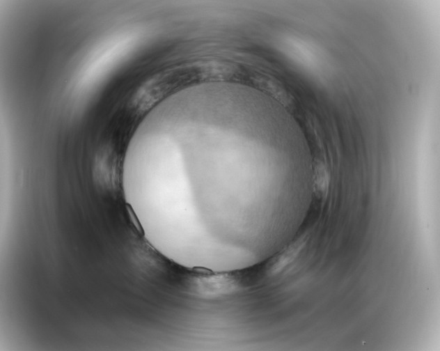 X0000086930431200704301121