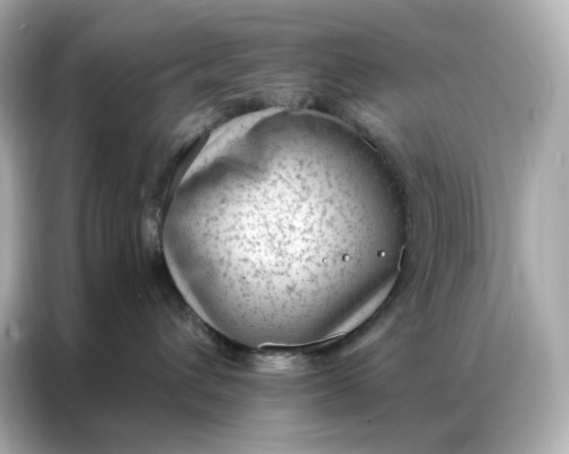 X0000086930432200704301121