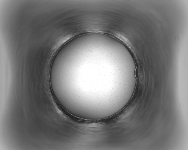 X0000086930433200704301120