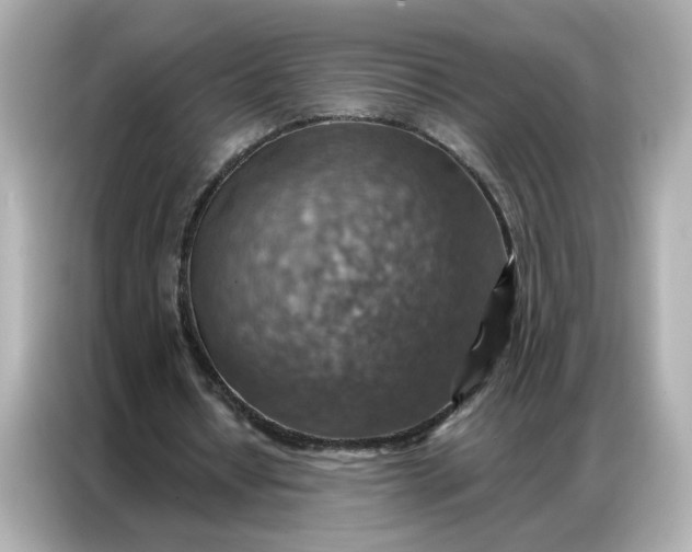 X0000086930434200704301120