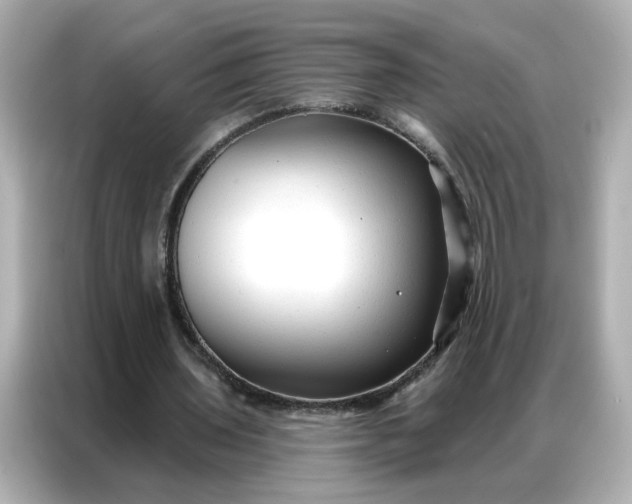 X0000086930435200704301120