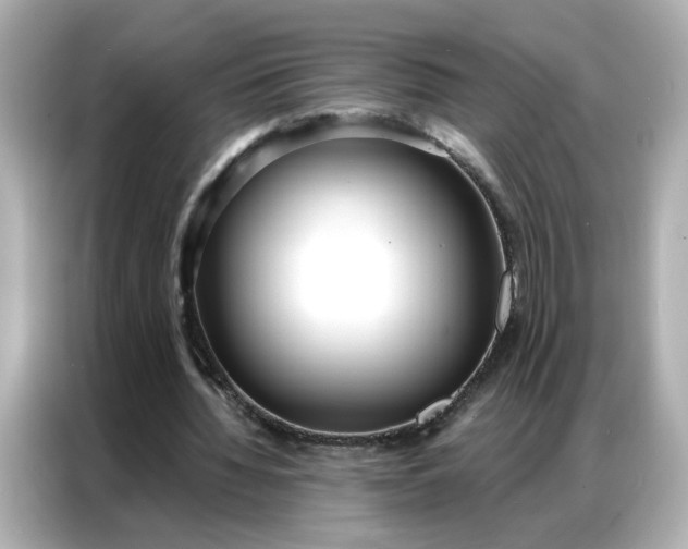 X0000086930436200704301120