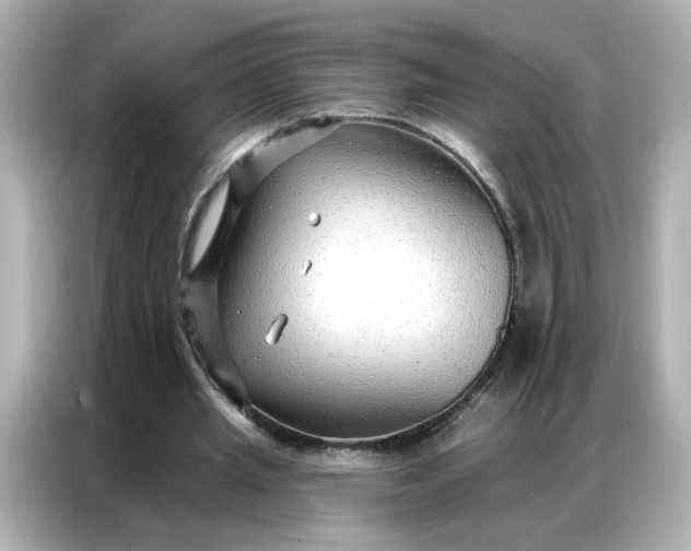 X0000086930437200704301120