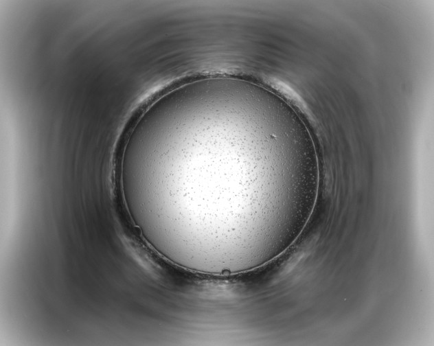 X0000086930439200704301120