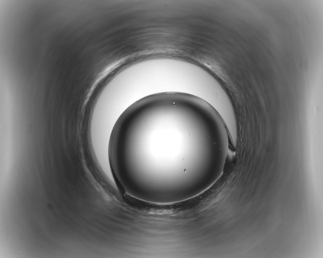 X0000086930440200704301120