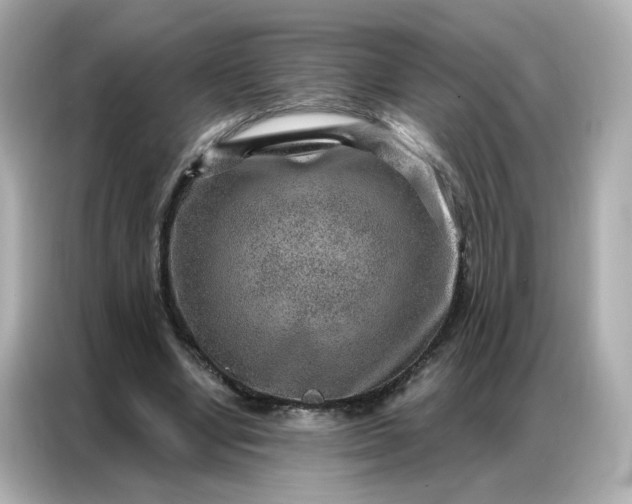 X0000086930442200704301120