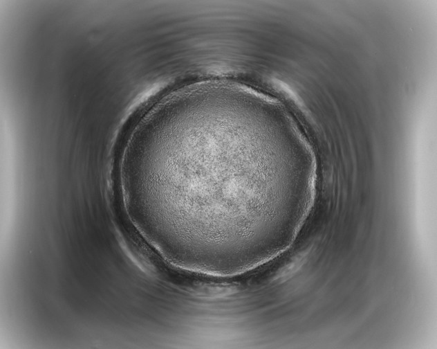 X0000086930443200704301120