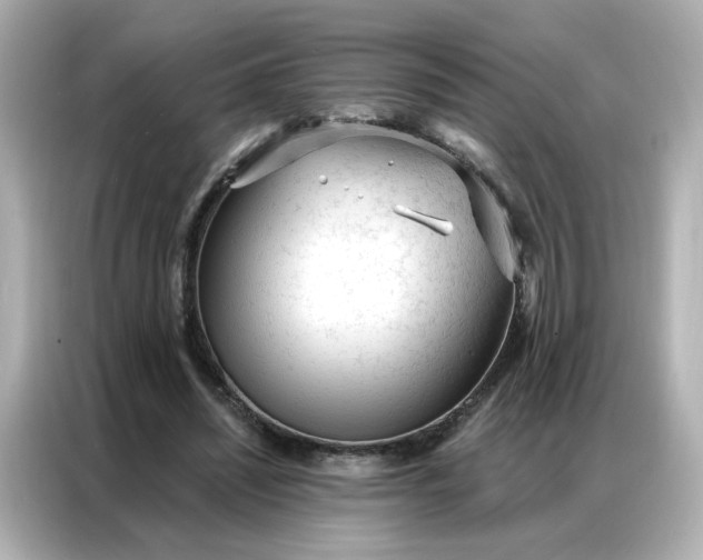 X0000086930444200704301120