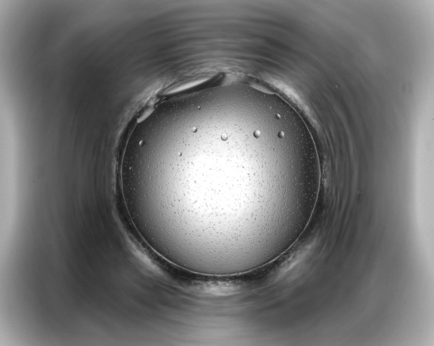 X0000086930445200704301120