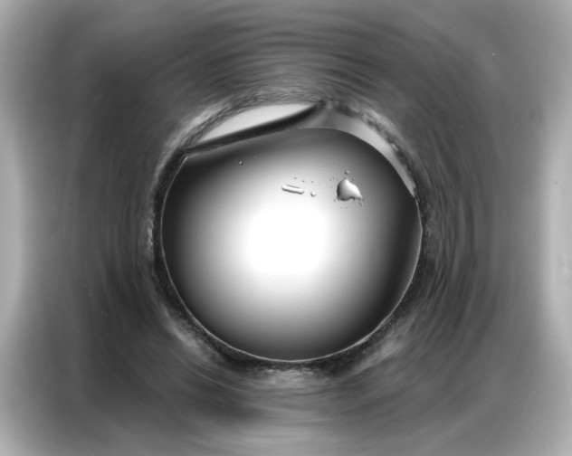 X0000086930446200704301120