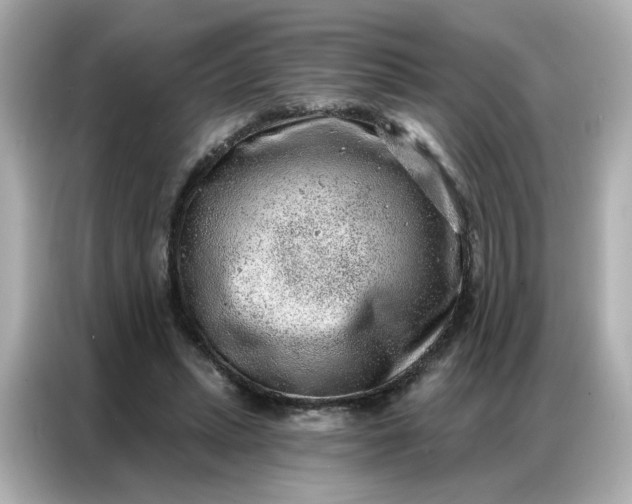 X0000086930447200704301120