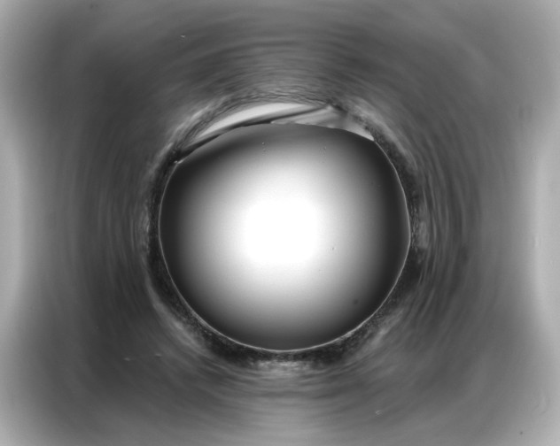 X0000086930448200704301120