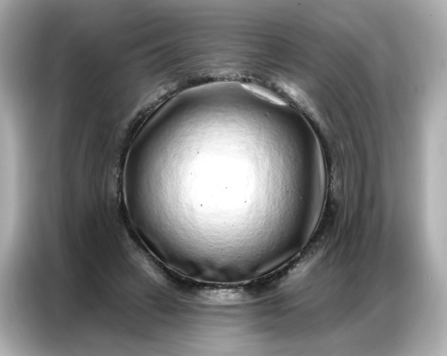 X0000086930449200704301120