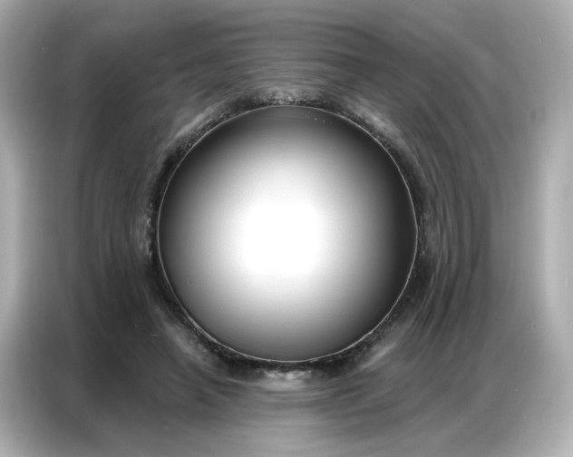 X0000086930450200704301120