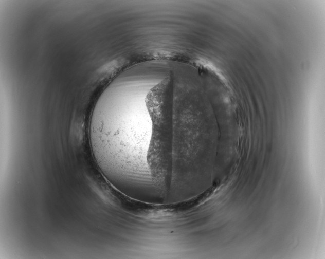 X0000086930451200704301120