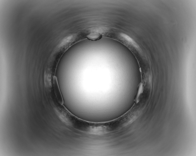 X0000086930452200704301120