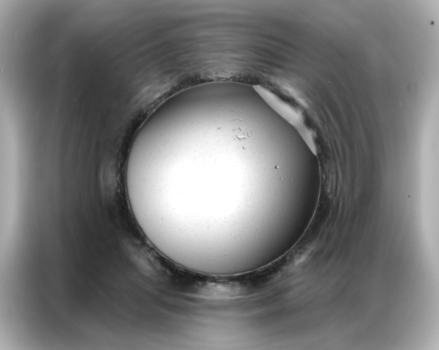 X0000086930455200704301120