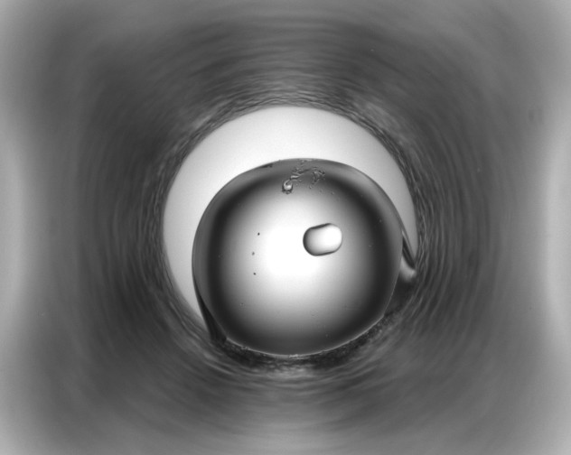 X0000086930456200704301120