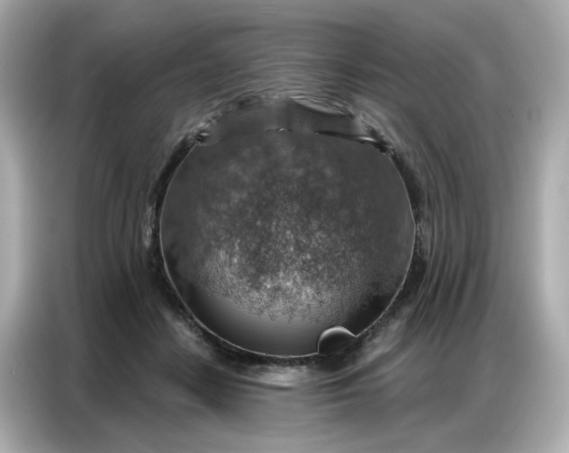 X0000086930458200704301120