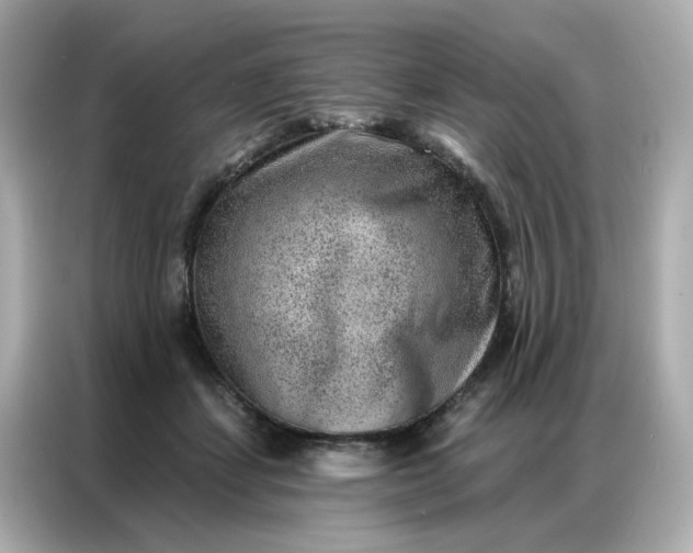 X0000086930459200704301120