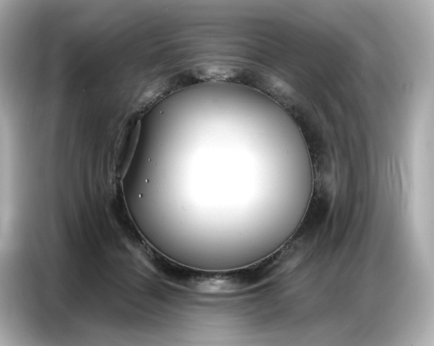 X0000086930460200704301120