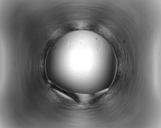 X0000086930461200704301120