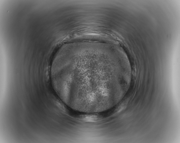 X0000086930462200704301120