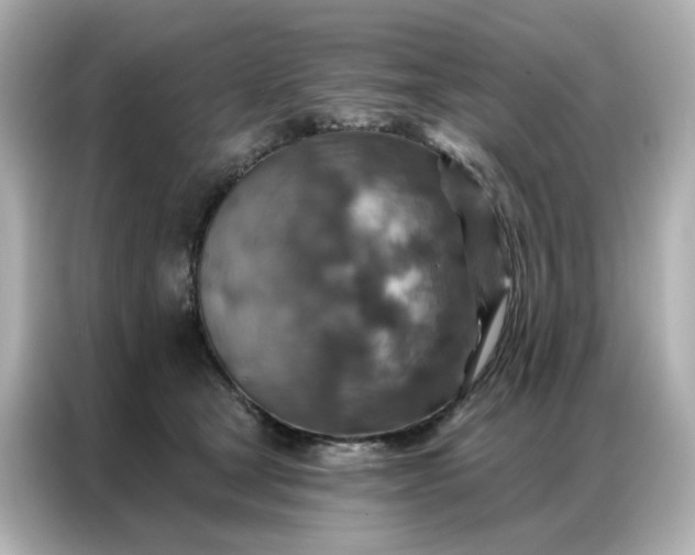 X0000086930465200704301120