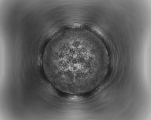 X0000086930467200704301120