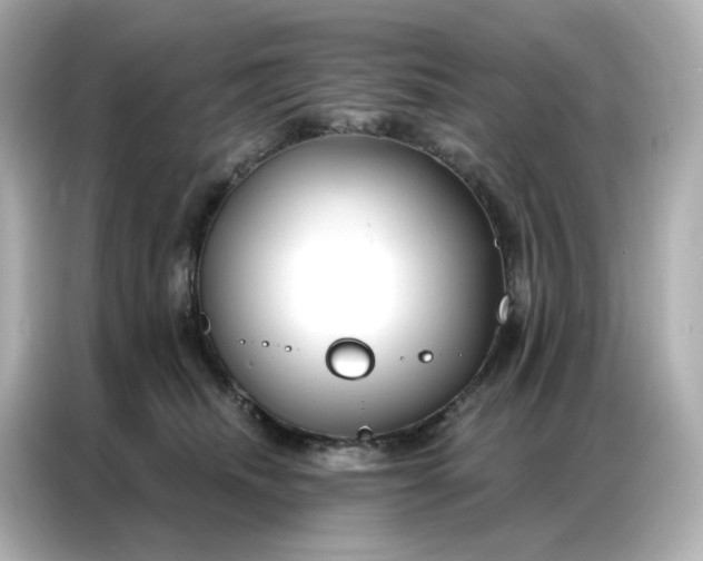 X0000086930468200704301120