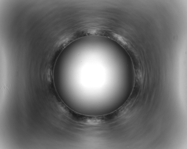 X0000086930470200704301121