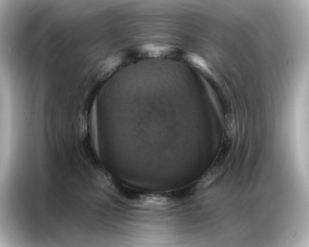 X0000086930471200704301121