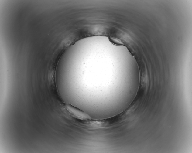 X0000086930473200704301121