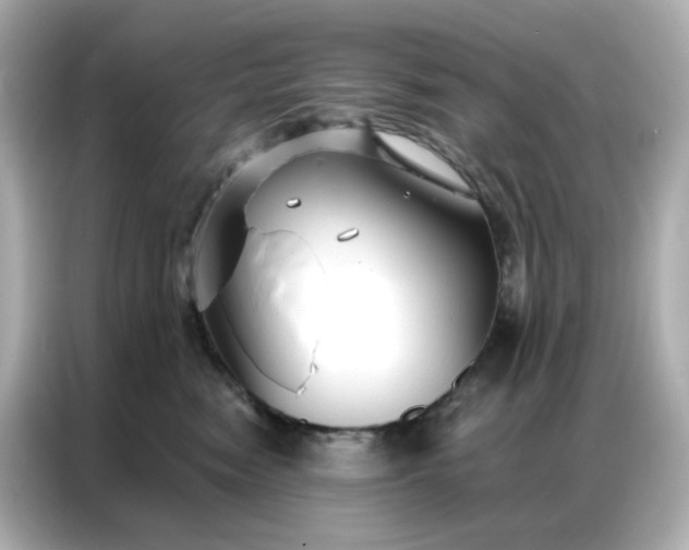 X0000086930474200704301121