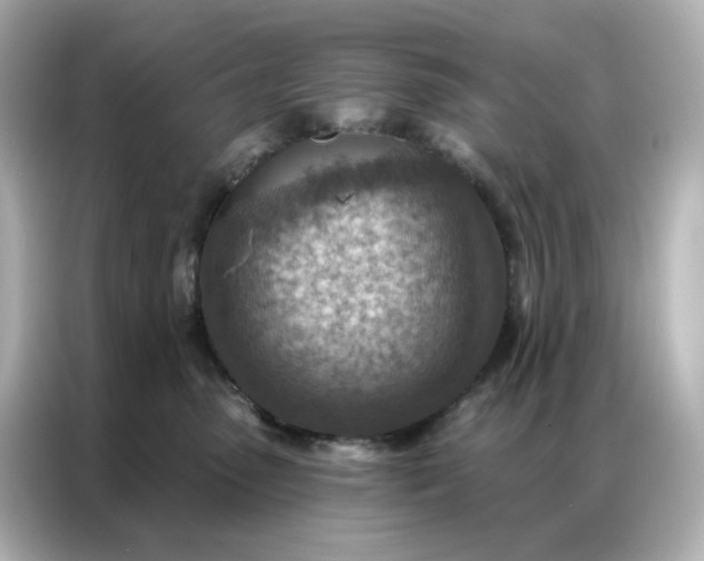 X0000086930475200704301121