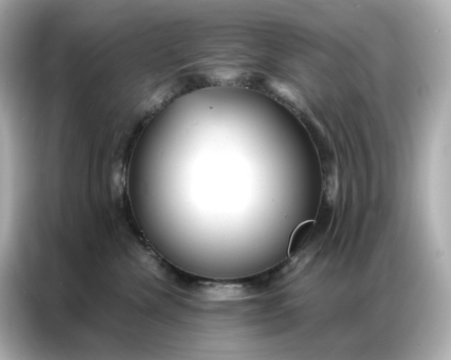 X0000086930476200704301121