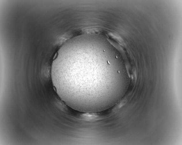 X0000086930477200704301121