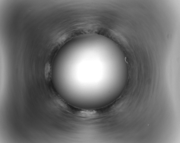 X0000086930480200704301121