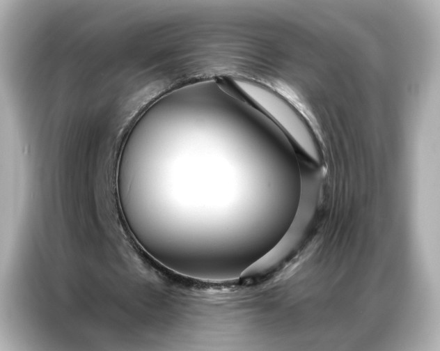 X0000086930481200704301120