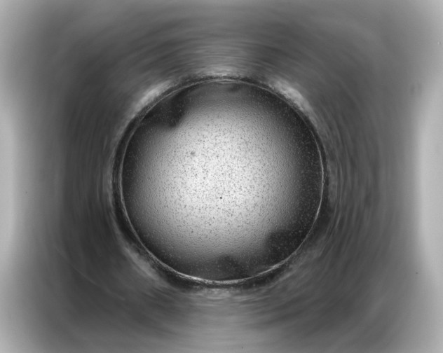 X0000086930482200704301120