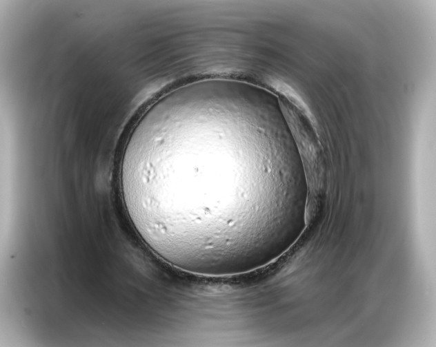 X0000086930483200704301120