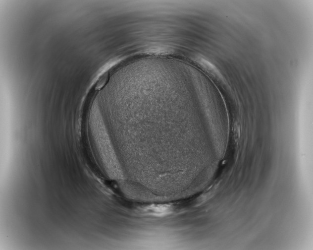 X0000086930484200704301120