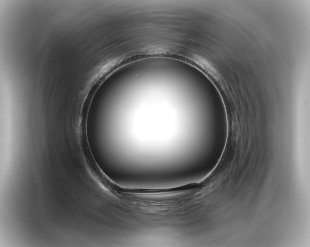 X0000086930485200704301120